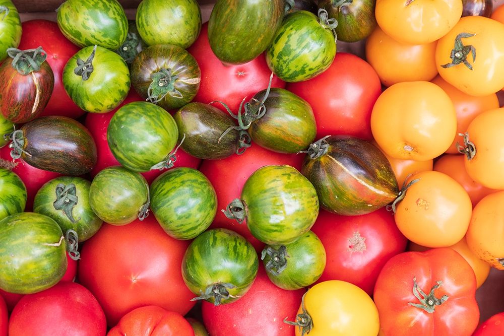 Washington State-Vancouver Fresh heirloom tomatoes for sale at a farmers market
